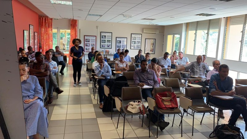 Collecter et traiter les sargasses en mer : la SOMARA vient d'acquérir un équipement de haute performance