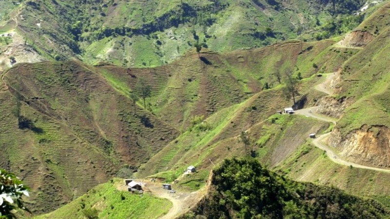 Coopération et solidarité internationale : Préserver la biodiversité et accompagner le reboisement en Haïti