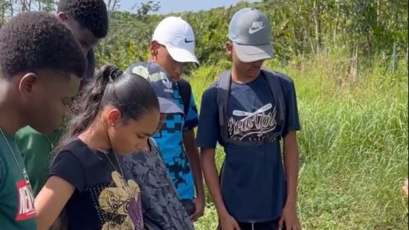 Replantation de mangles médailles en partenariat avec le Parc National dans le cadre du projet Karibiodiv dans la Forêt de Golconde aux Abymes