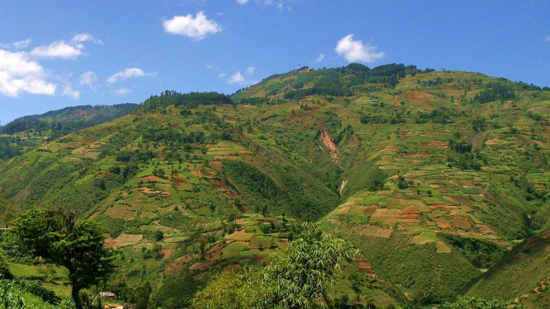 Biodiversité en Haïti